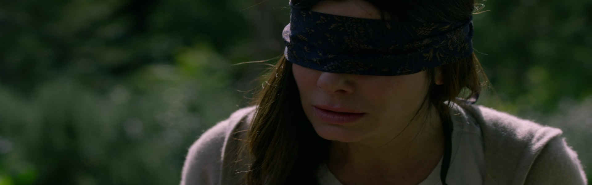 Bird Box